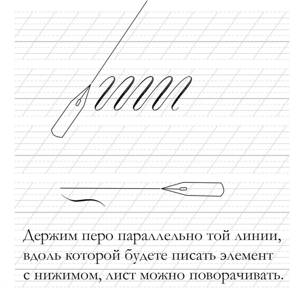 Каллиграфия рисунки для начинающих
