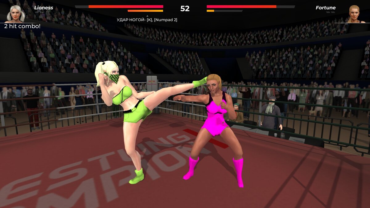 Девушки и смешанные единоборства. Обзор игры Wrestlers Without Boundaries |  Обзоры на игры steam | Дзен