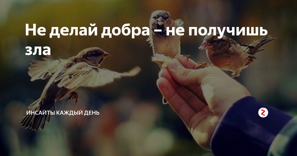 Картинки не делай людям добра не получишь добра