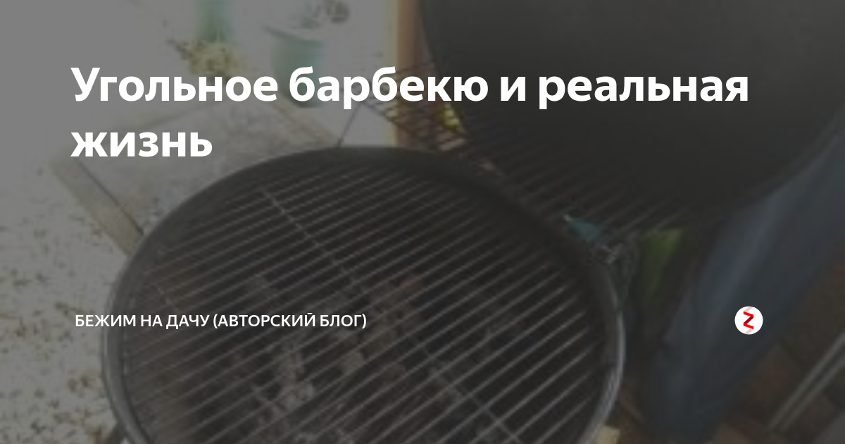 Угольное барбекю и реальная жизнь | Бежим на дачу (авторский блог) | Дзен