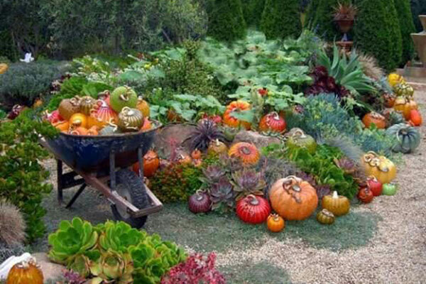 https://plantu.ru/