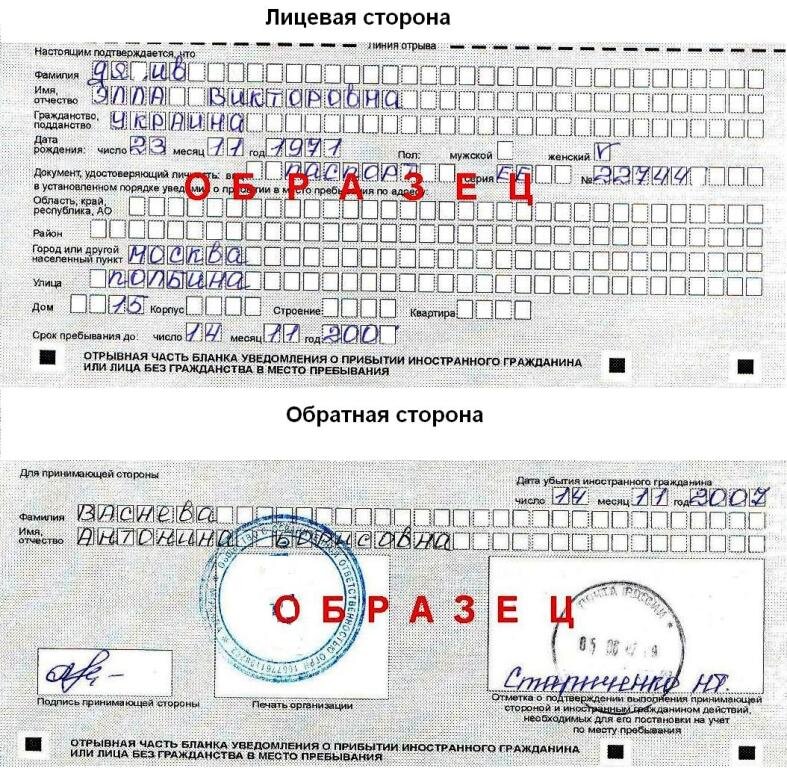 Миграционный учет картинки