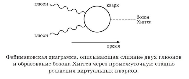 Диаграмма Фейнмана, показывающая возможные варианты рождения W- или Z-бозонов, которые при взаимодействии образуют нейтральный бозон Хиггса