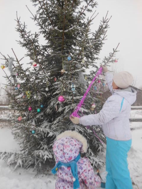 Ёль новогодняя, 2015 год