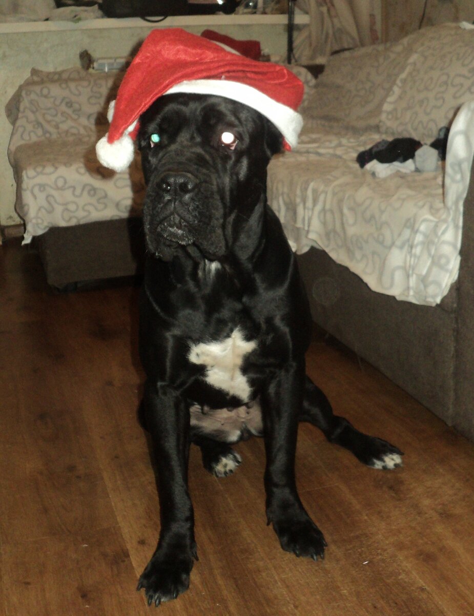 А у Моны хронически выражение лица "Я у папы дурочка"