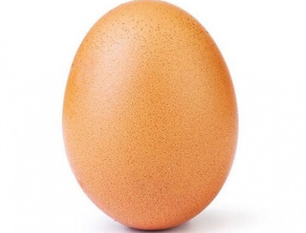 Яйцо - мировой рекордсмен.