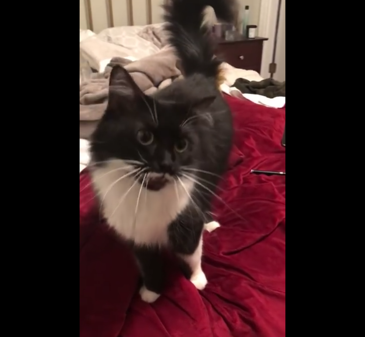 Кадр видео Matt Burke