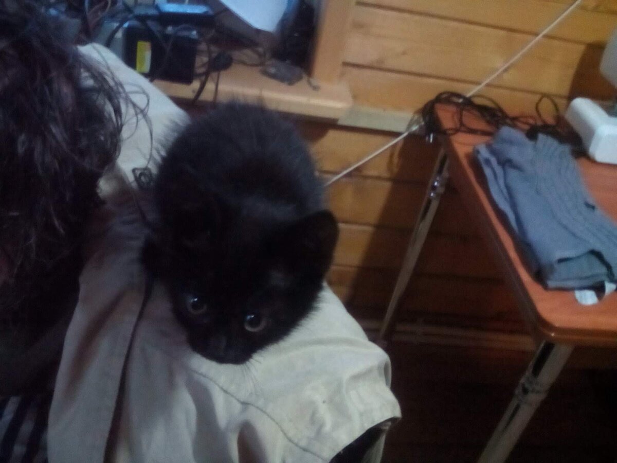 Тенька ещё маленькая