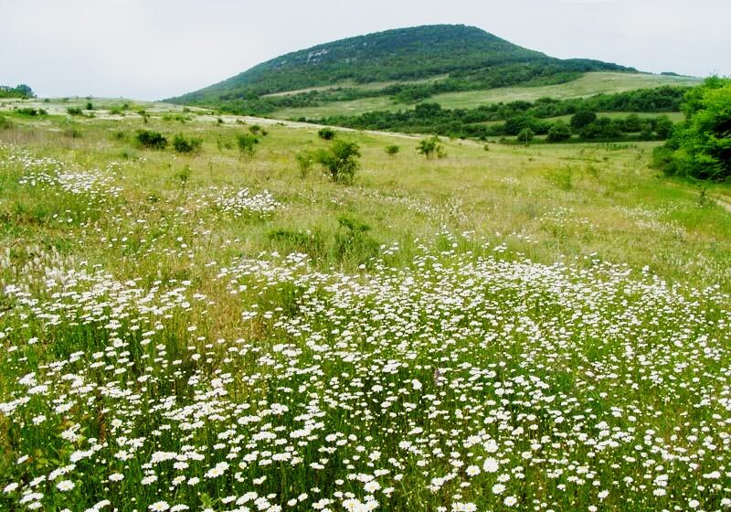 Лакская долина, гора св. Ильи