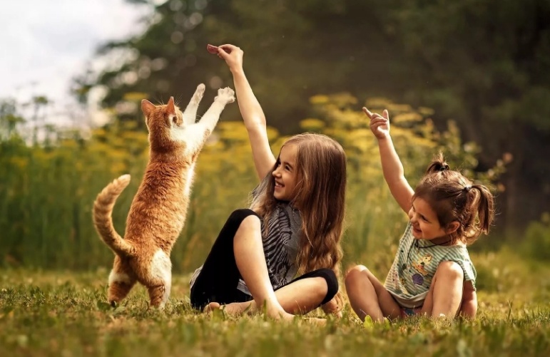 Кошки и дети