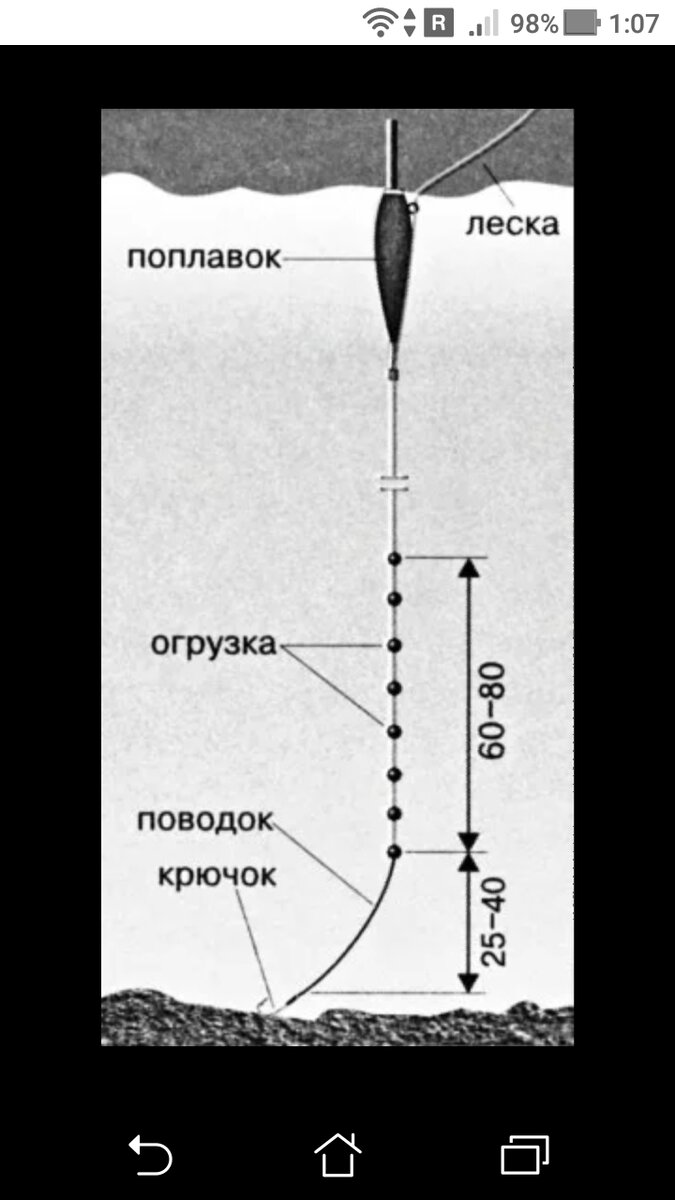 На поплавок в лунке