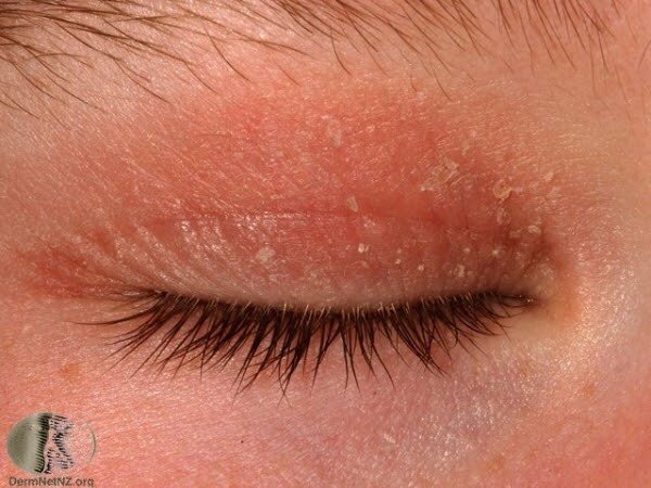 ansiktskrembillig.blogspot.com