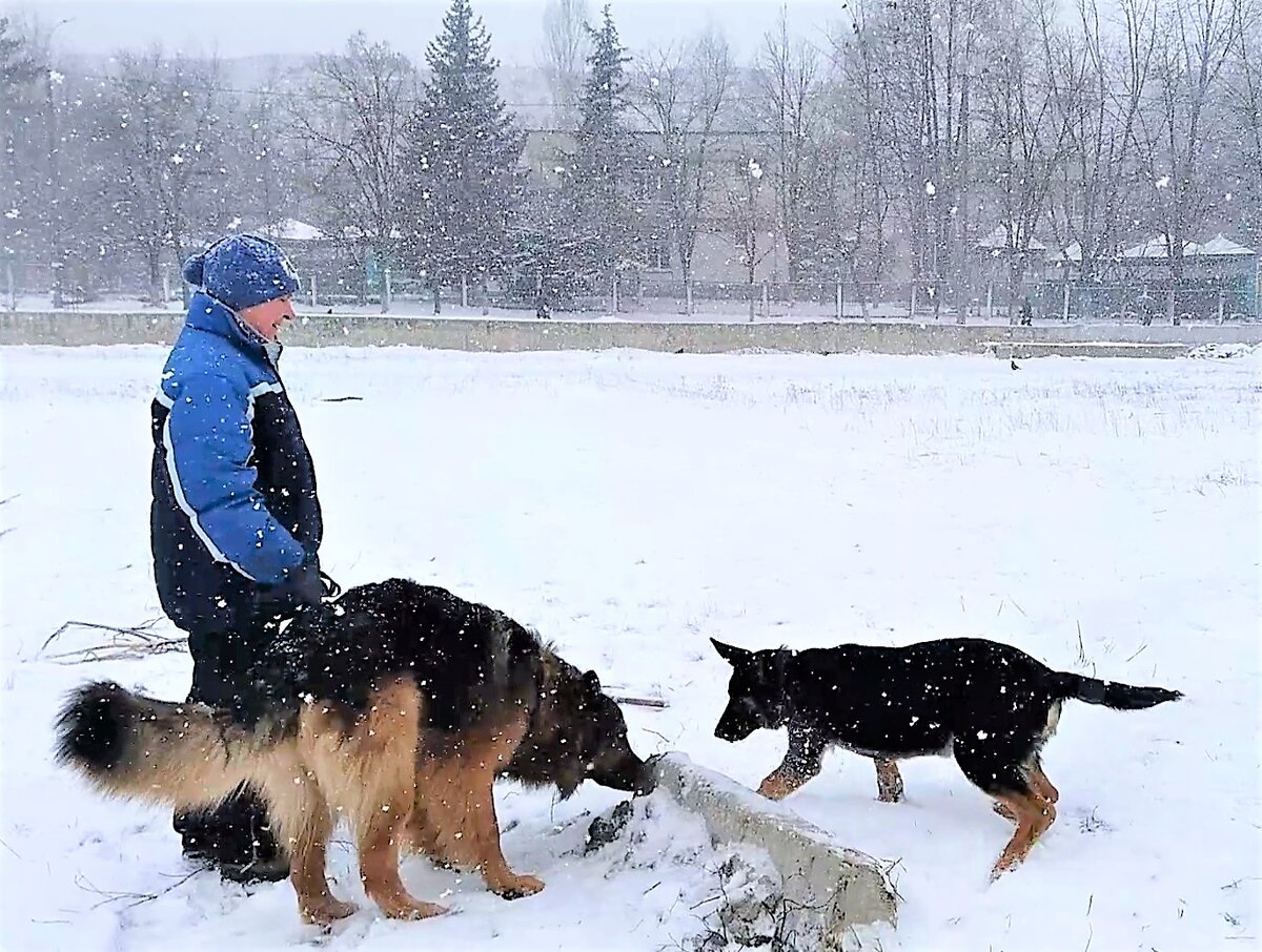 Я, Зевс и Кейси