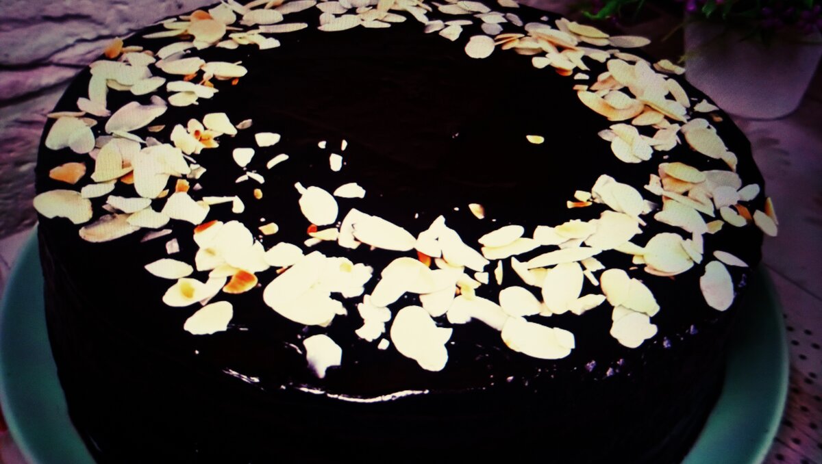 Фото автора. Шоколадный торт.