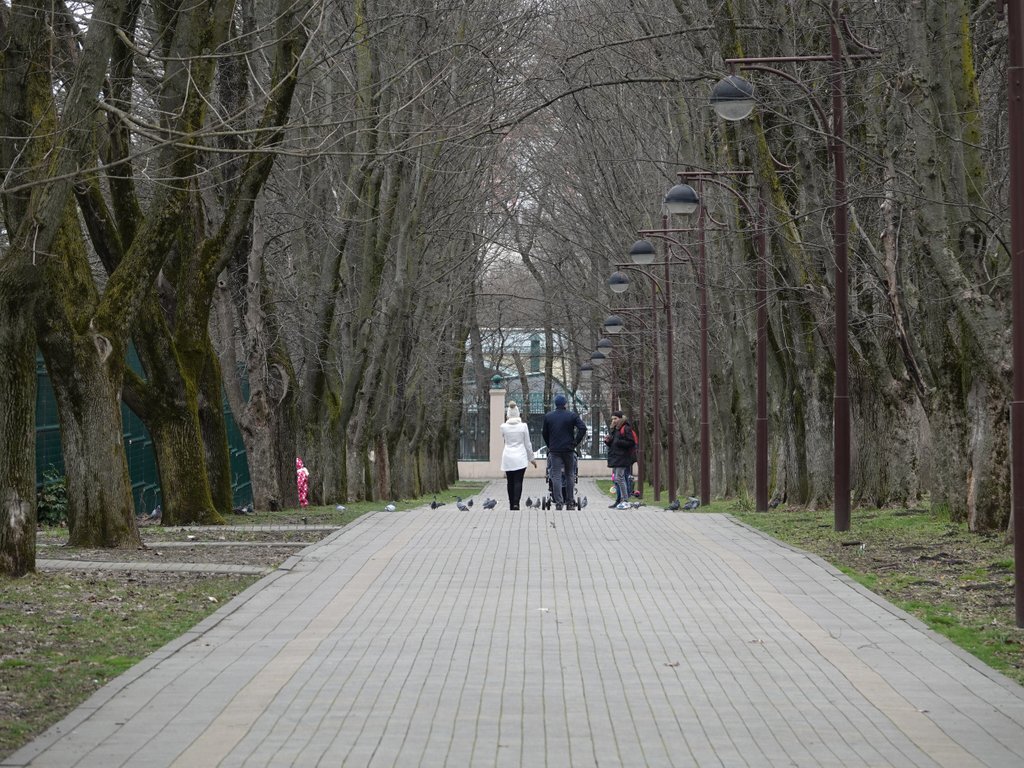 Накануне в Краснодаре выпал небольшой снег. Поэтому на следующий день было сыро, ветрено, но уже бесснежно.