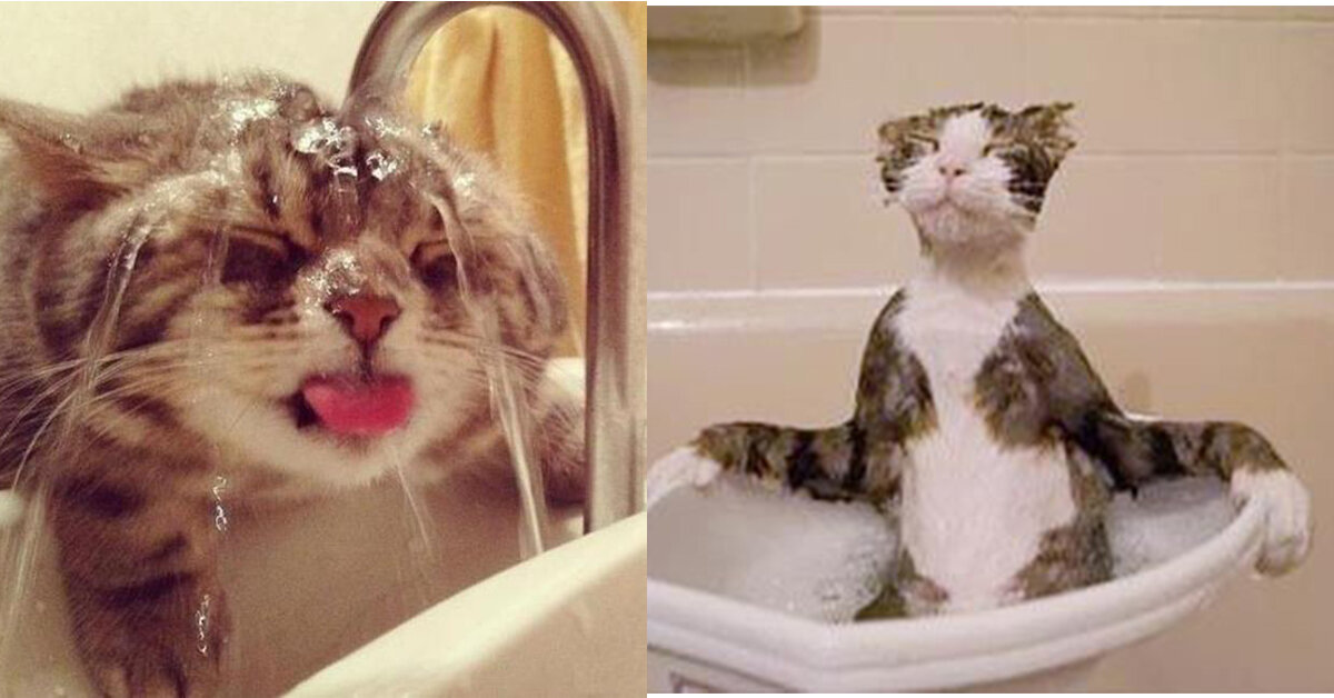 просто расслабься и получай удовольствие...