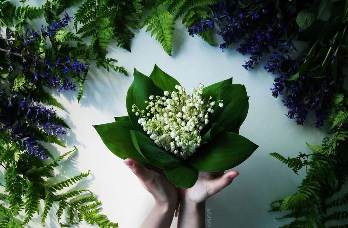 Внутренняя красота у девушки – это : 