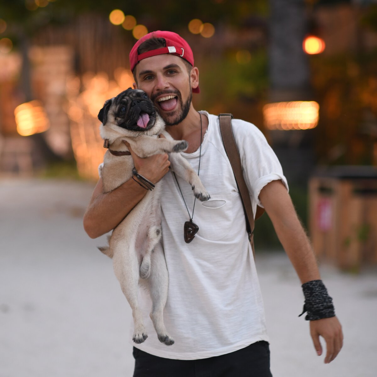 Мопсолюбовь у меня в крови