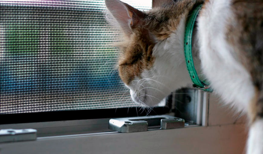 CatPeople.ru