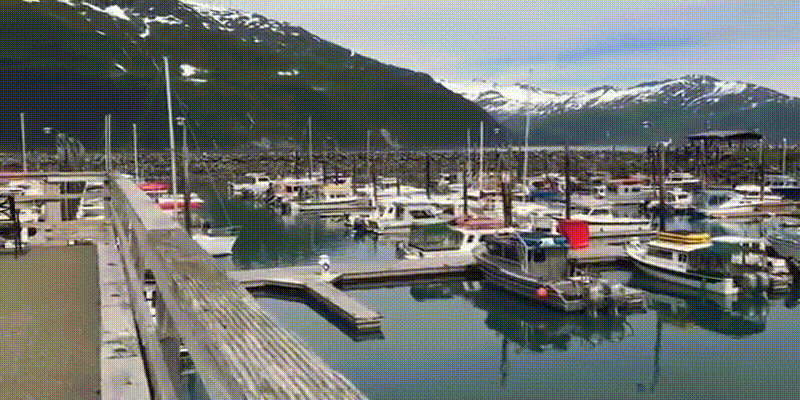 Лодочная "парковка". Фрагмент из видео на YouTube канале "LIFE in ALASKA USA"