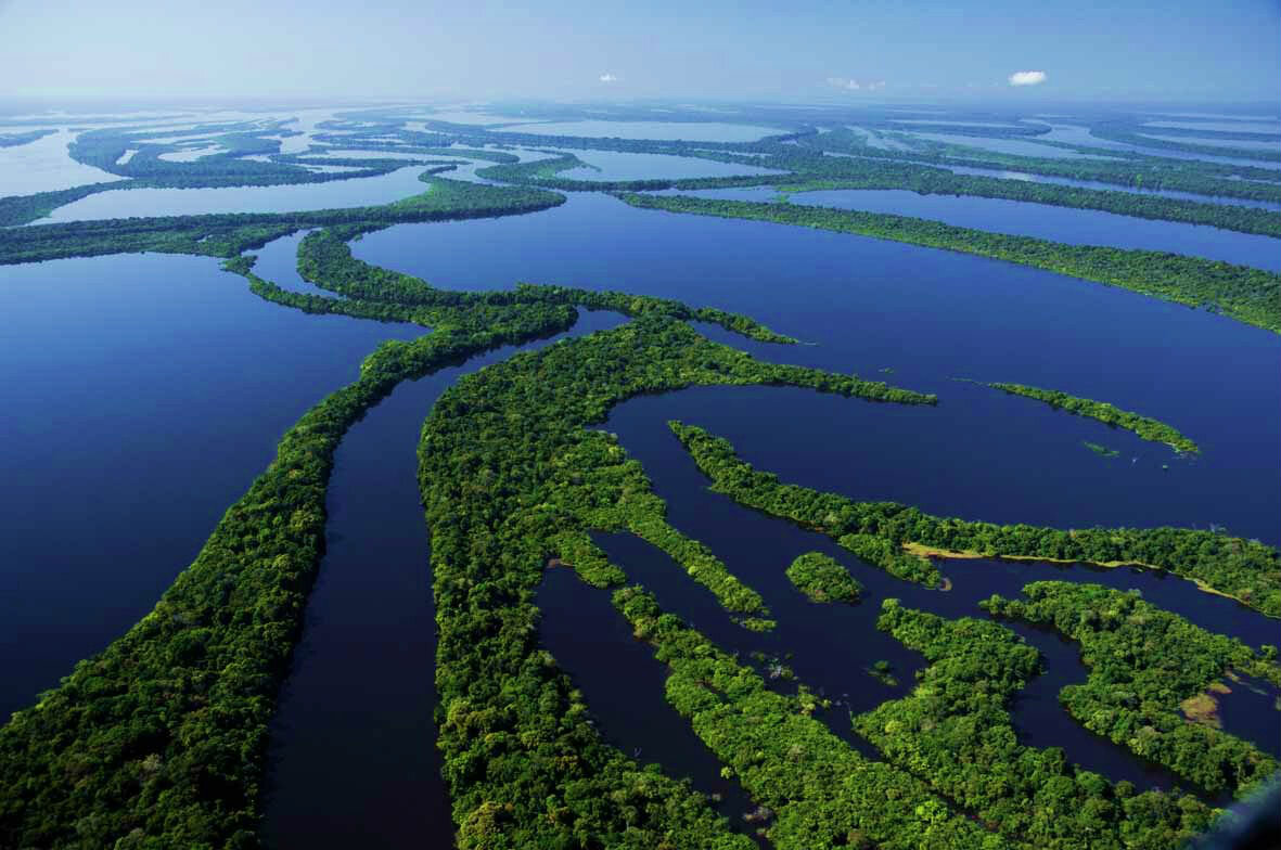 Какие крупные озера находятся на амазонской низменности. Река Амазонка в Бразилии. Южная Америка река Амазонка. Южная Америка река Рио Негро. Амазонка и Ориноко.