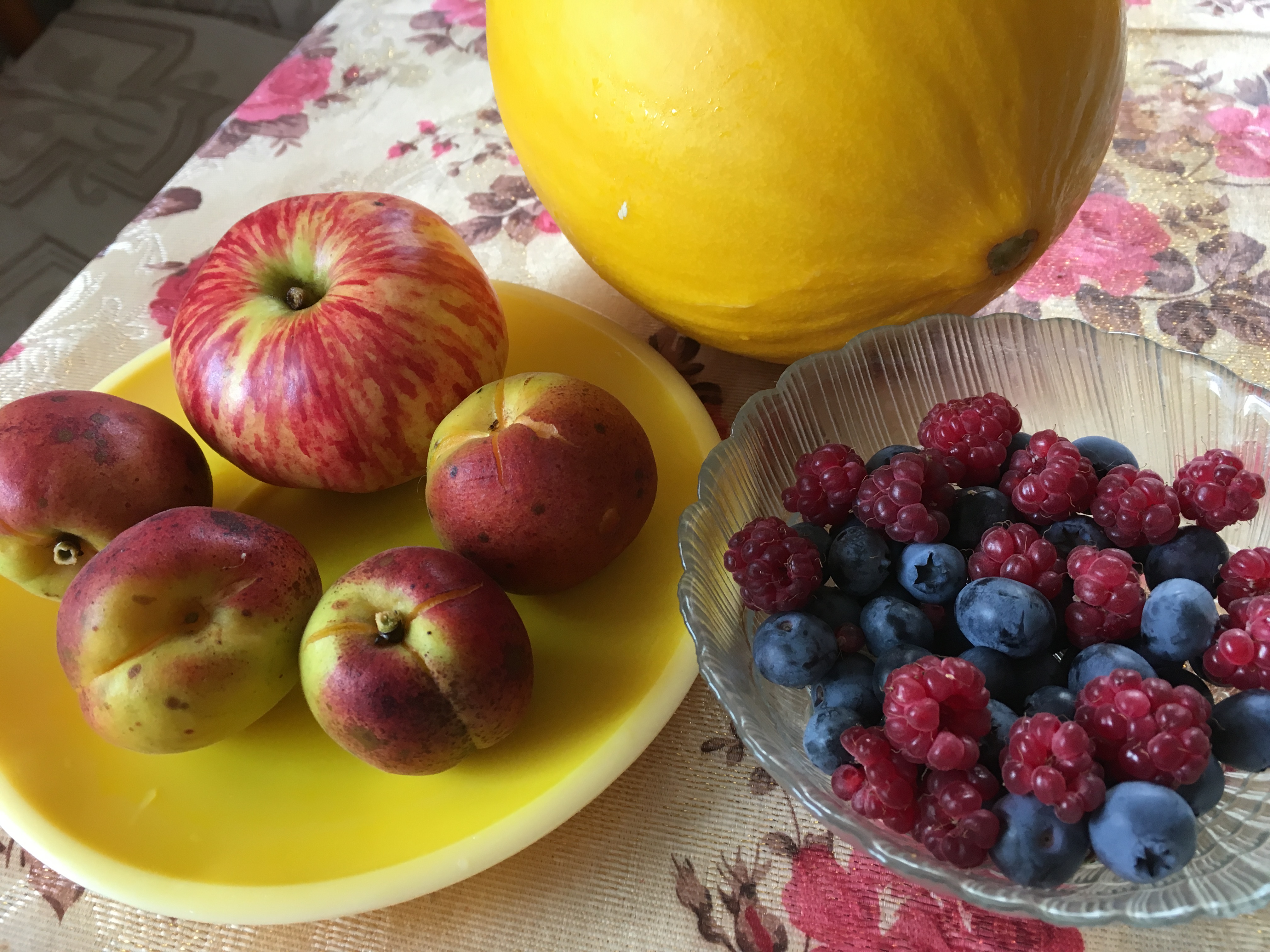 У нас свои дыни, арбузы, голубика, малина, яблоки... А теперь и абрикосы