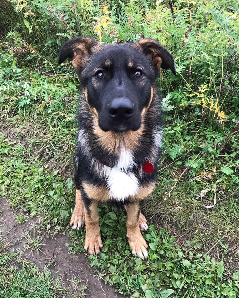 Том. Фото из архива волонтера