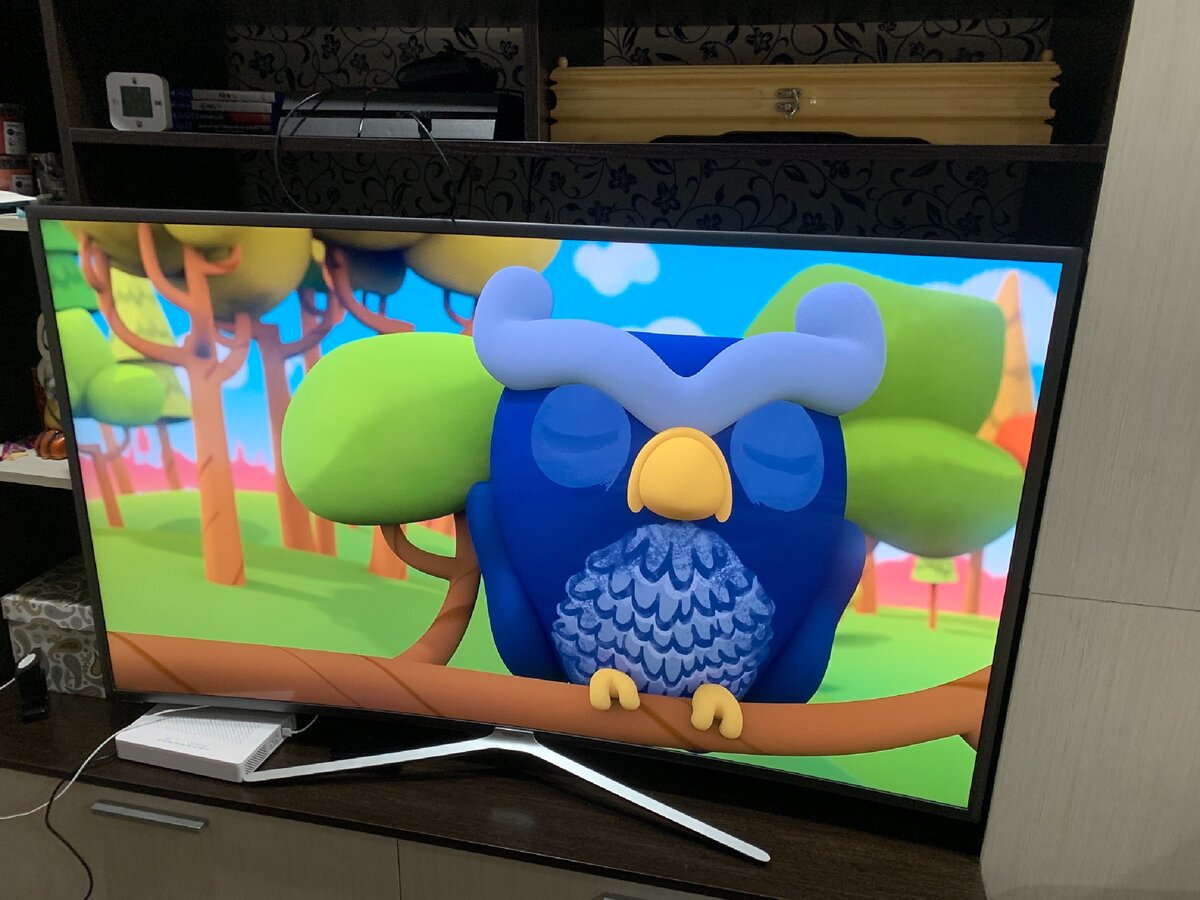 55 дюймовый гнутик)