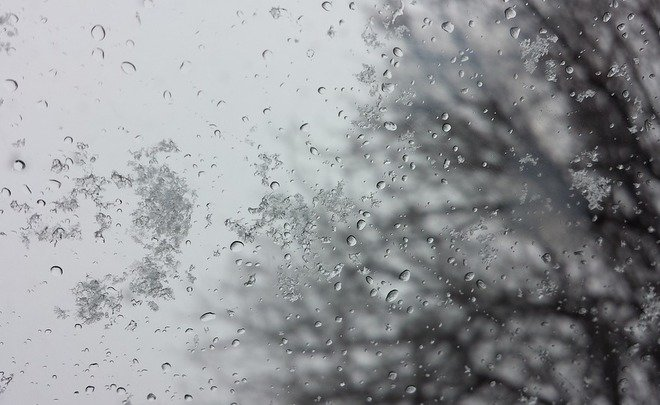  Фото: pixabay.com