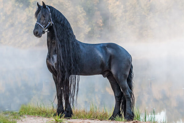 Фото из частной коллекции