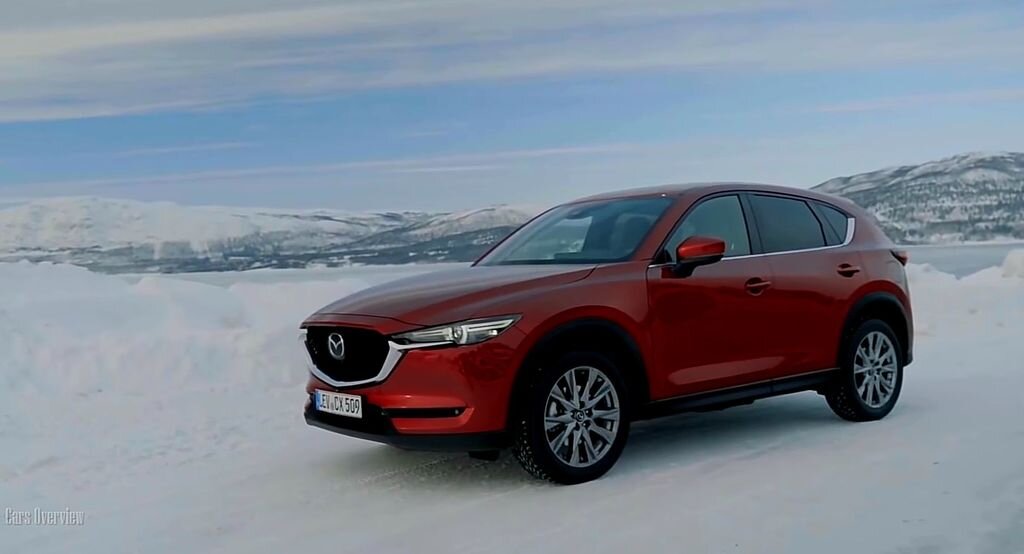 Внешний вид фото