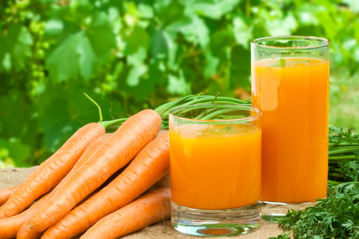 Польза морковной ботвы: витамины и минералы для здоровья
