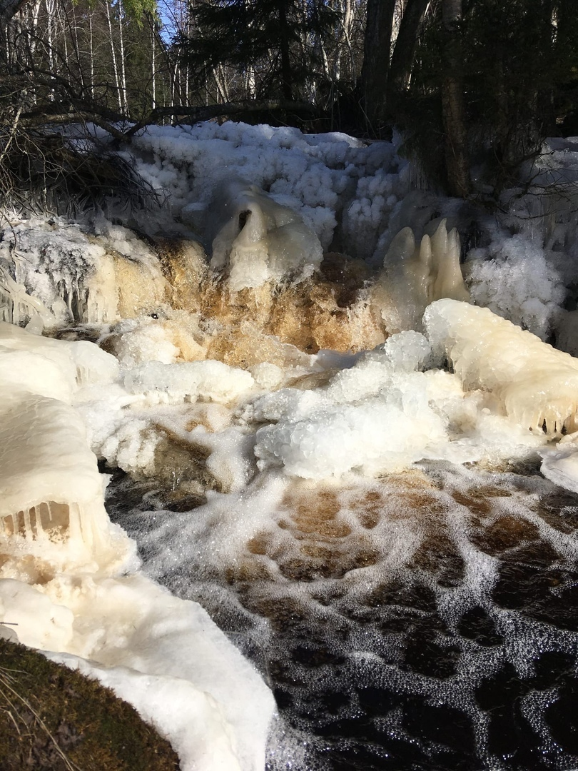 (Фото: Татьяна Бурая) 