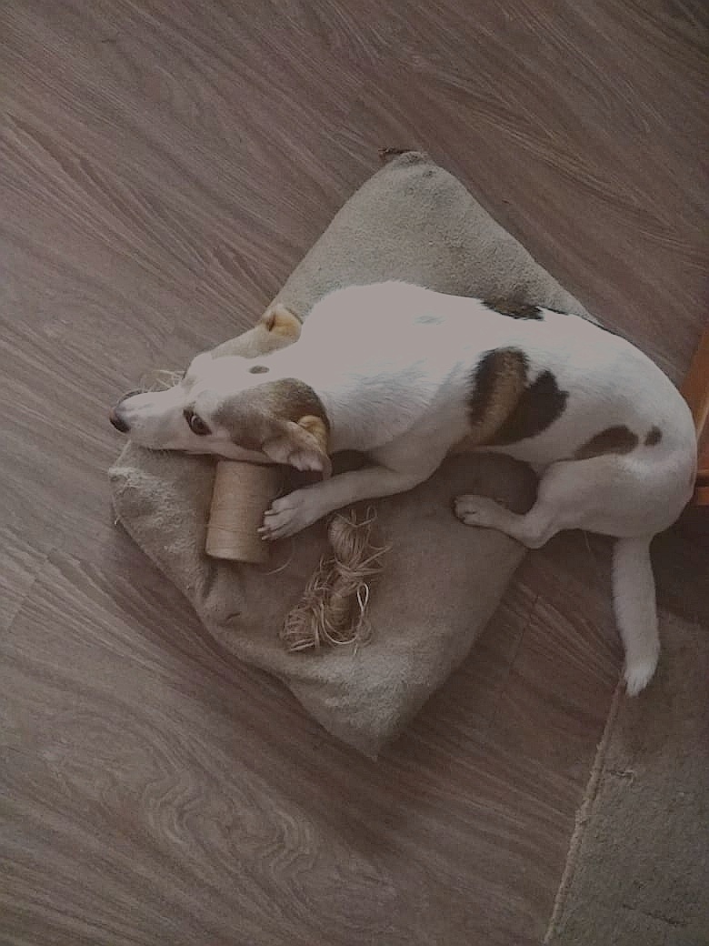 Презентация клубка