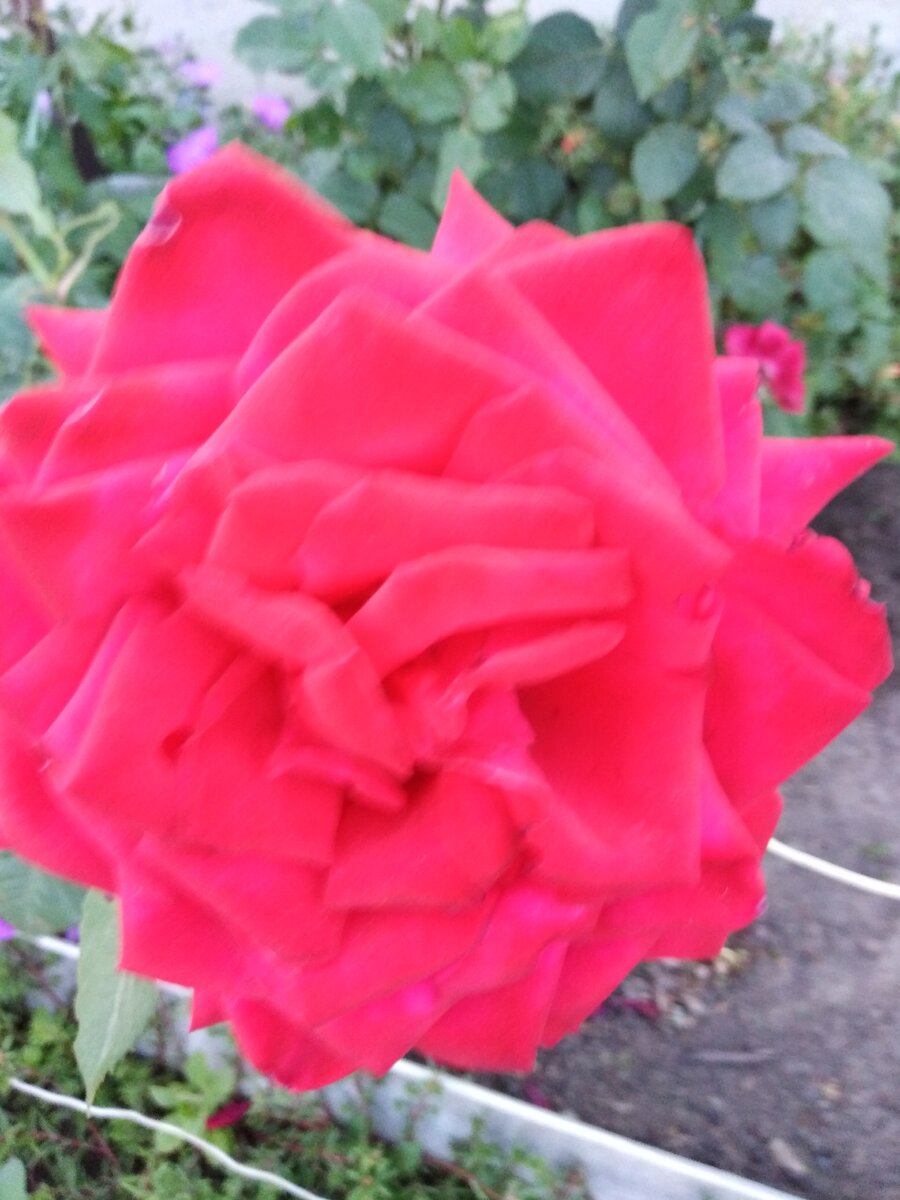  Фото из архива автора.