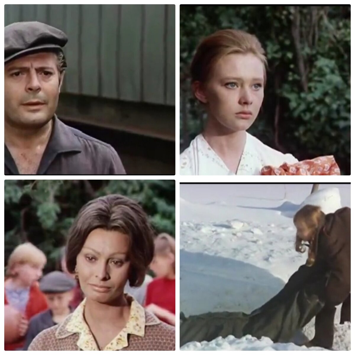 Кадры из фильма "Подсолнухи" 1970 года. Италия-Франция.