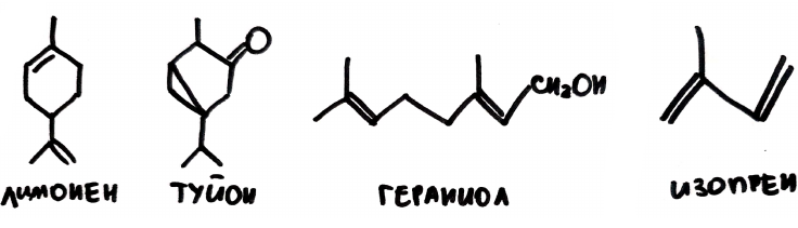 Некоторые летучие вещества на природе (рисунок автора)