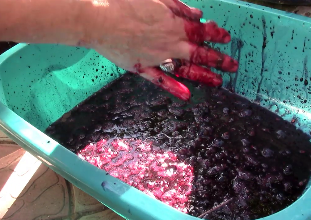 Фото слелано в 2019 г