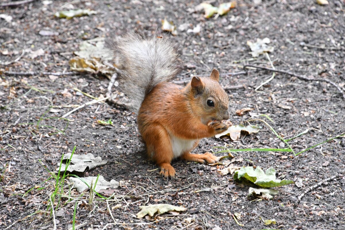 Хорошо, когда живот полон!