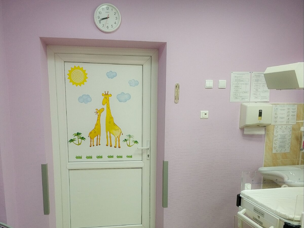 Родовая палата