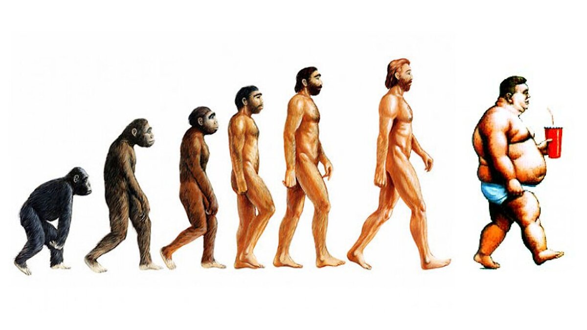 Этапы эволюции человека,хомо сапиенс