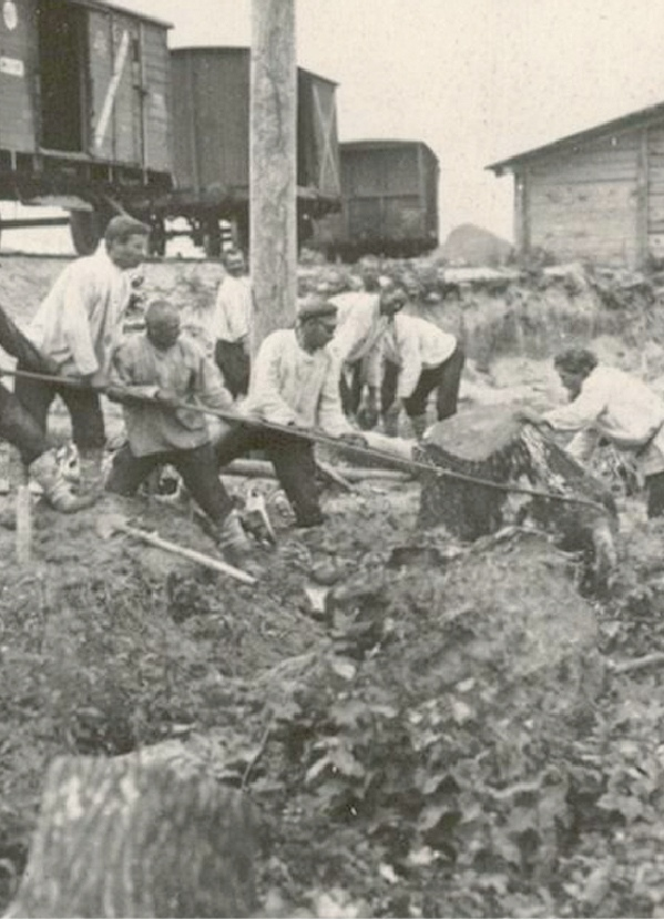 Корчёвка пней на строительстве Брянской ГРЭС. 1928 год.