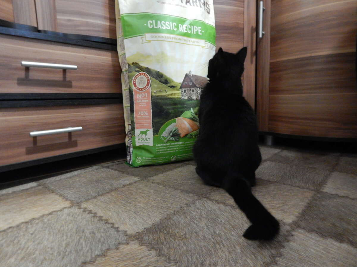 Вообще рыбные корма кошка не очень любит, но конкретно этот дегустировала