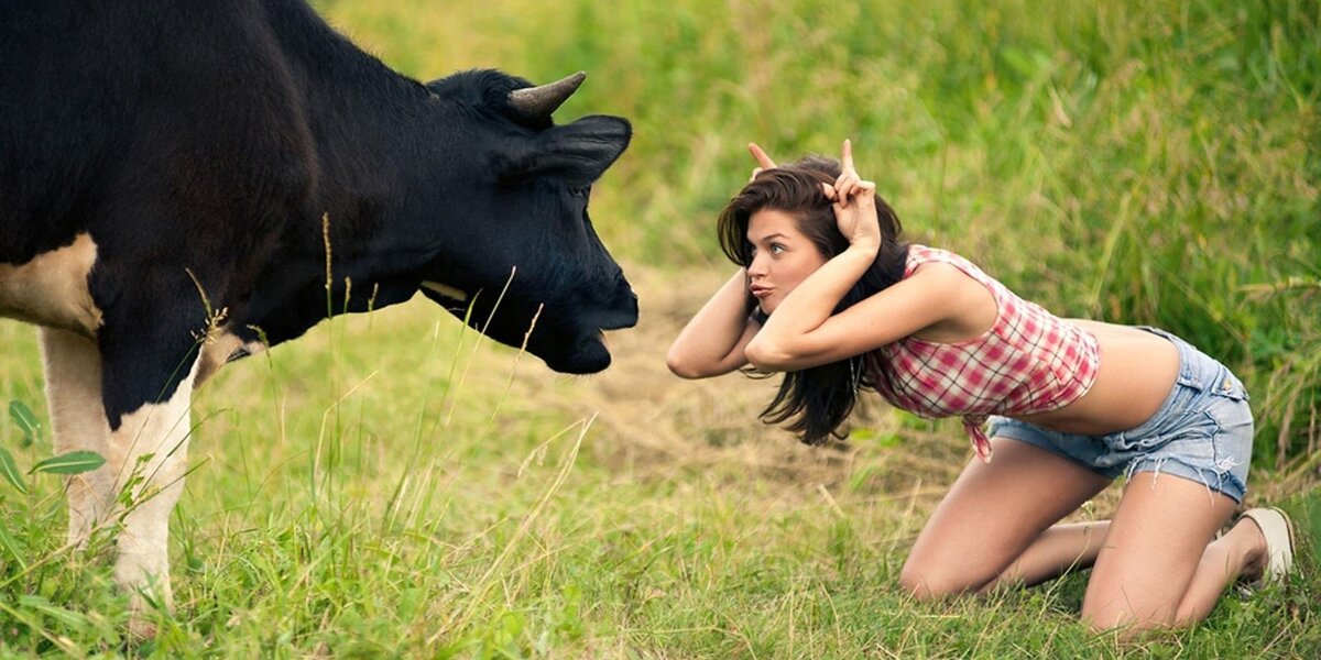 Картинка яндекс