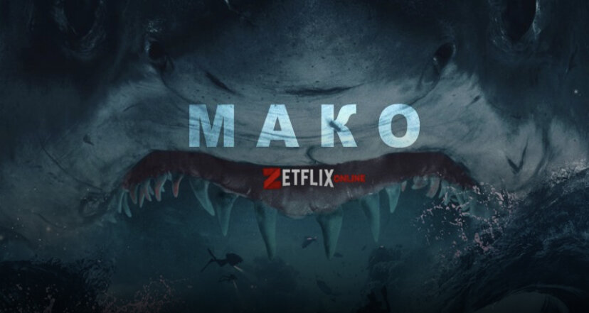 Съемочная группа кинематографистов, ради серьезной наживы отправляются в опасное место затопления внушительных размеров пассажирского судна, а также пропажи спасательного отряда, намеривающих их выручить, чтобы в конечном итоге снять документальный фильм. Естественно, они ещё находятся в жутком неведении, в какую ловушку на самом деле придется по большому счету угодить и рисковать самым ценным.