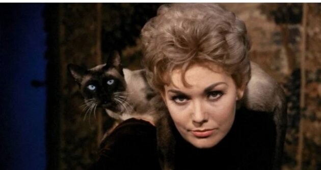 В жизни молодой ведьмы нет ничего интересного кроме ее сиамского кота и делать козни людям,пока она не решает приворожить жениха соседки.