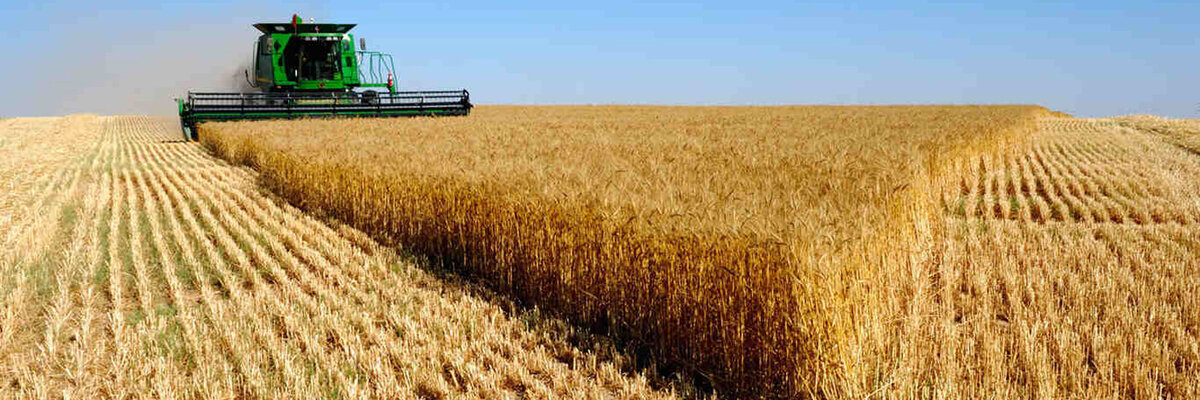 Project SFERA Live — Подписывайтесь...