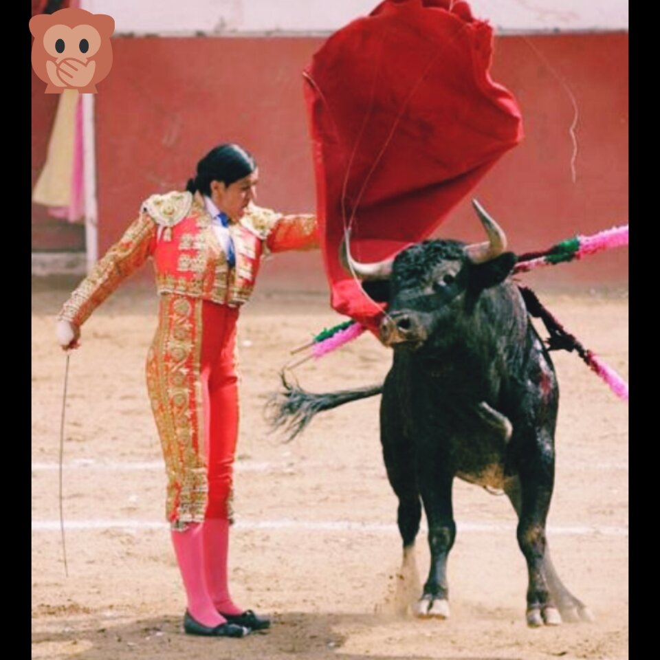 Фотография из интернета