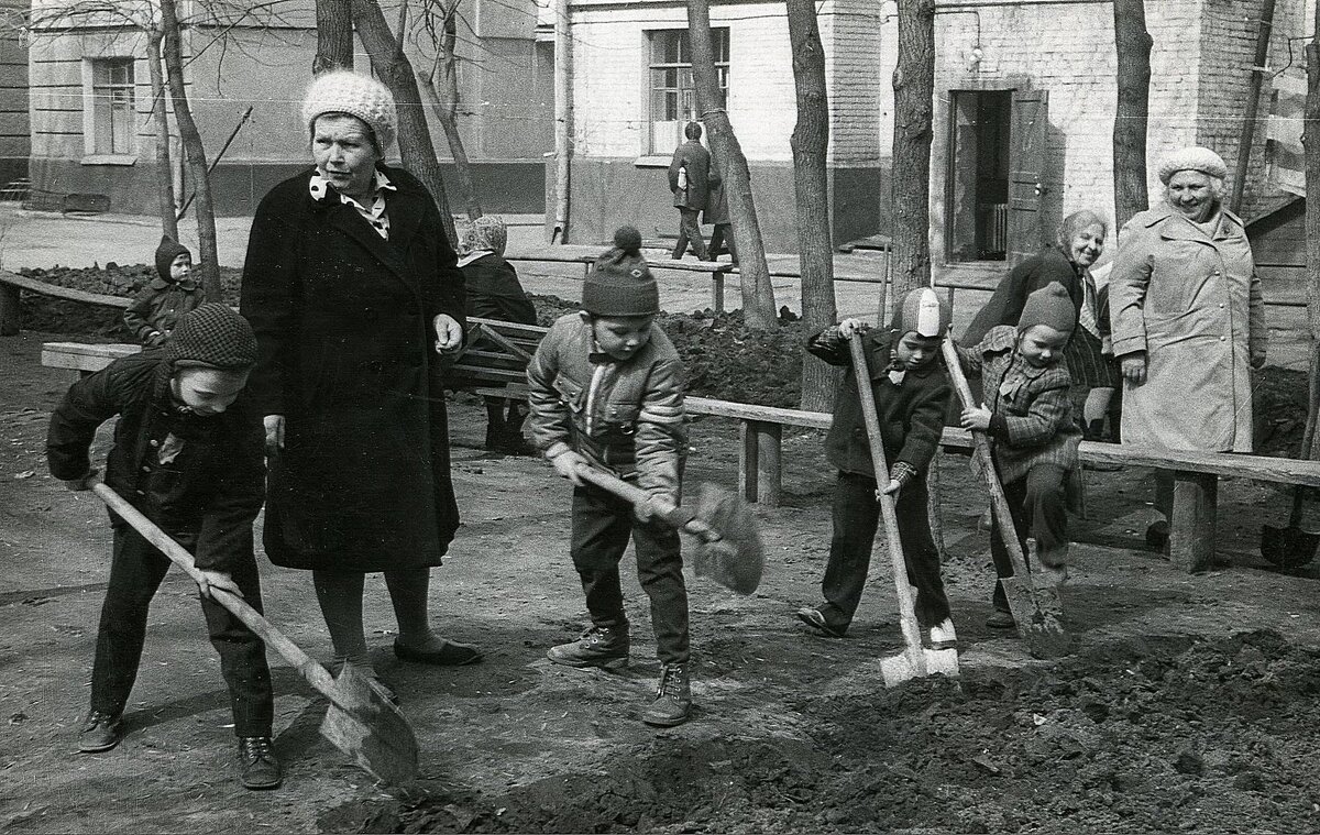 картинка из интернета