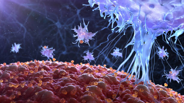 Фото: istockphoto.com